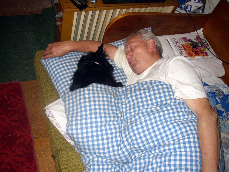 Pokojný spánek - pán a jeho pes